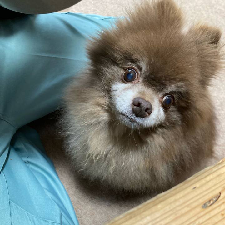 Bf749e6b b801 43b2 8730 35a2806a85d0 1699655524836