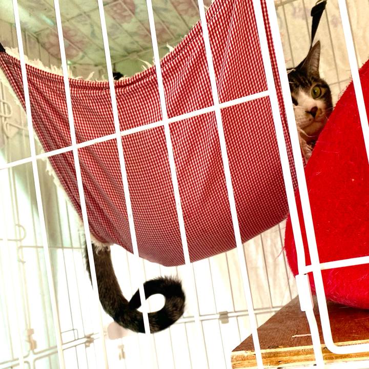 Bf74afb7 7d50 4948 9fdc 89470eaae16d 1710308508449