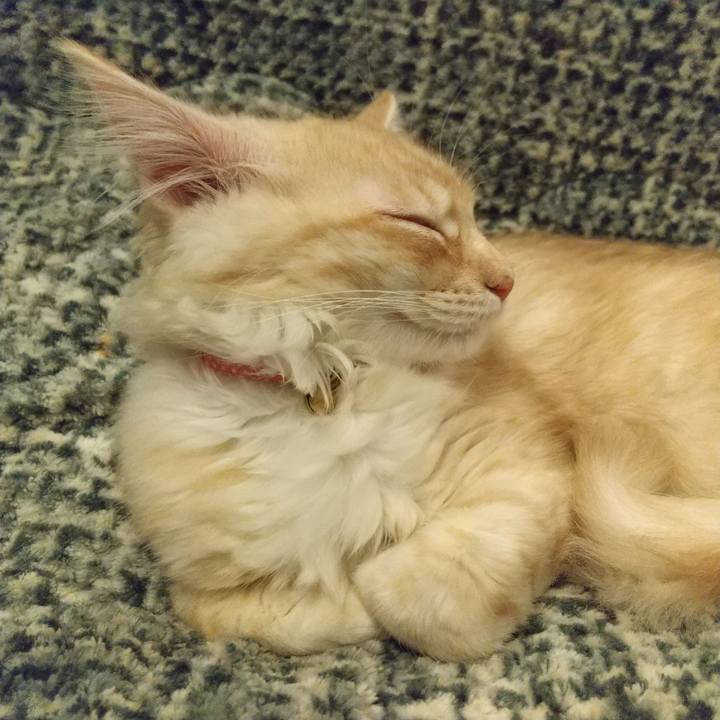 Bf751b90 31aa 43b3 878d cc6ca70fde03 1608035163655