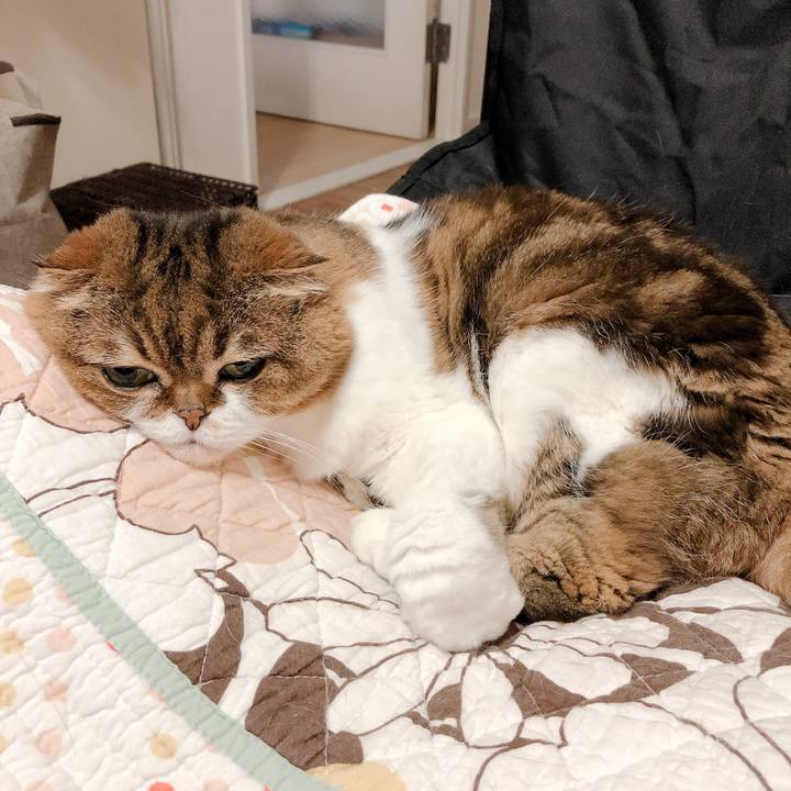 Bf75461b 8930 42fd 8b5f 550a8da8f5d3 1559296842313