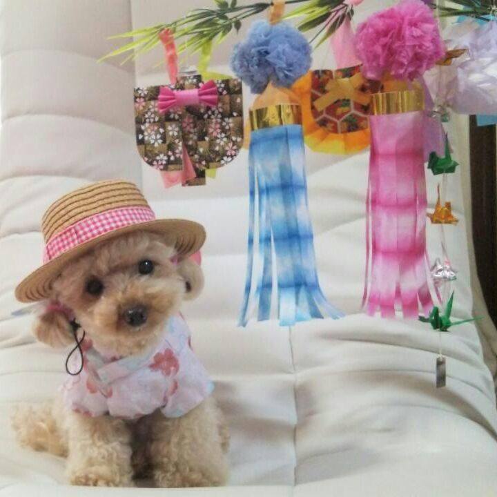 Bf754792 efc3 43c4 a208 6cbbb9f06ee7 1530792057070