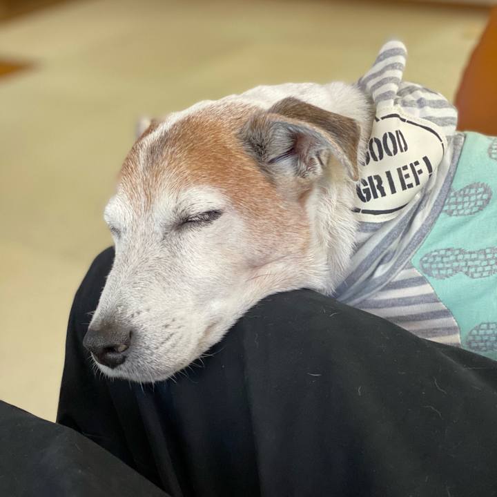 Bf755766 e151 4dd6 aa7f 4e512c4caa82 1607229424613