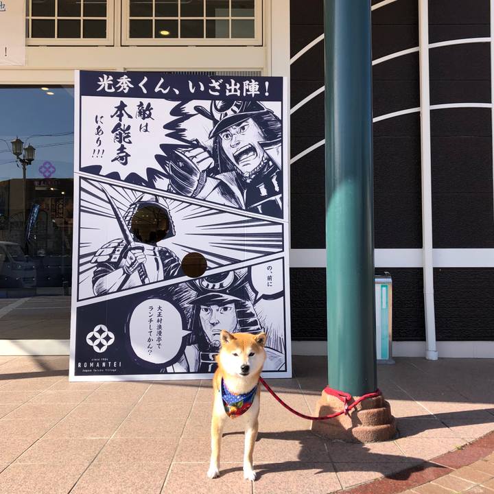 Bf757d9d beed 4de4 91f8 5fffd4cf34f3 1556783168545