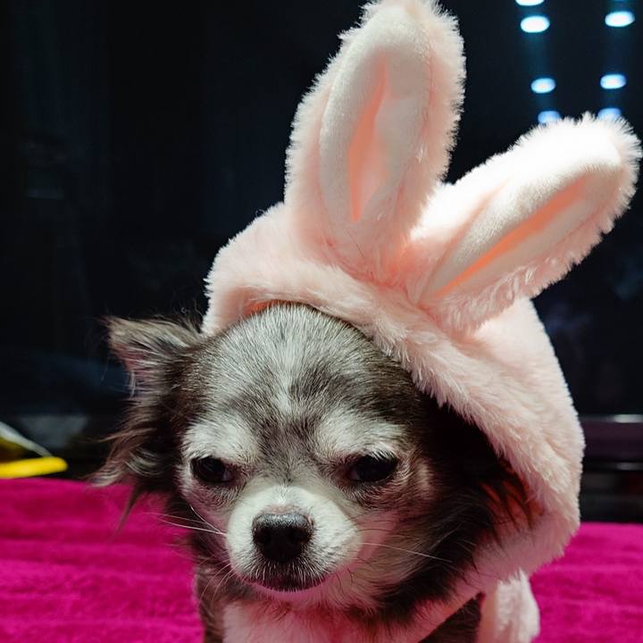 Bf75a83c 49d3 407c b8ec d5d347ec7660 1759744801294