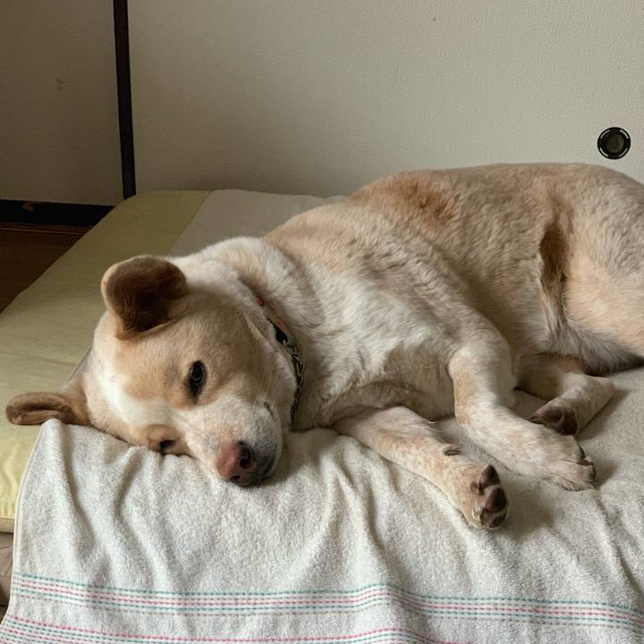 Bf75b77f 5a20 47a7 9807 db46b14bf88a 1549853286914