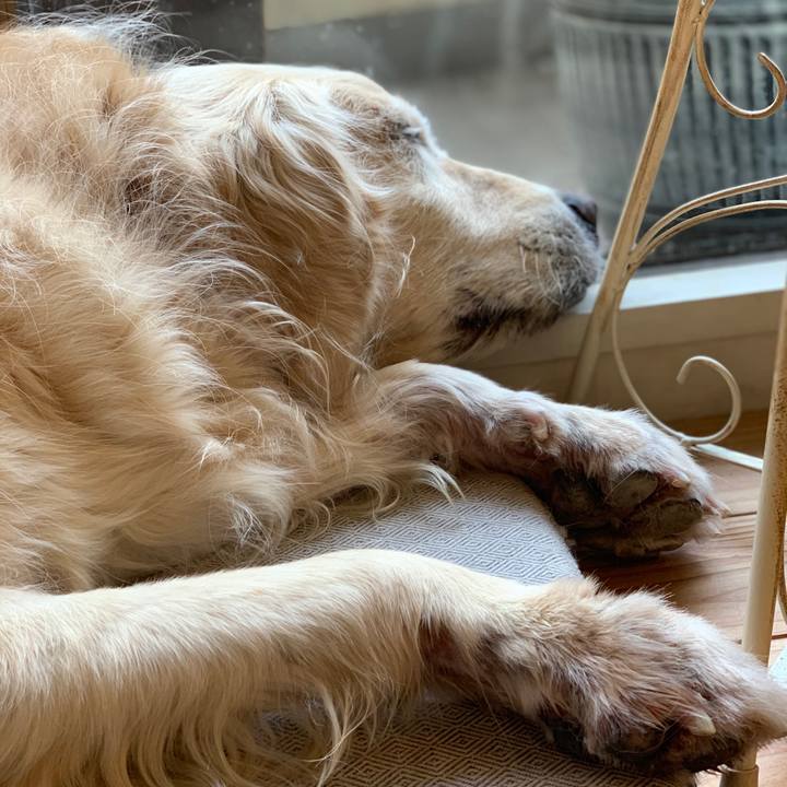 Bf75c78b ed6d 42cd 8477 3348f40bb530 1555457445913