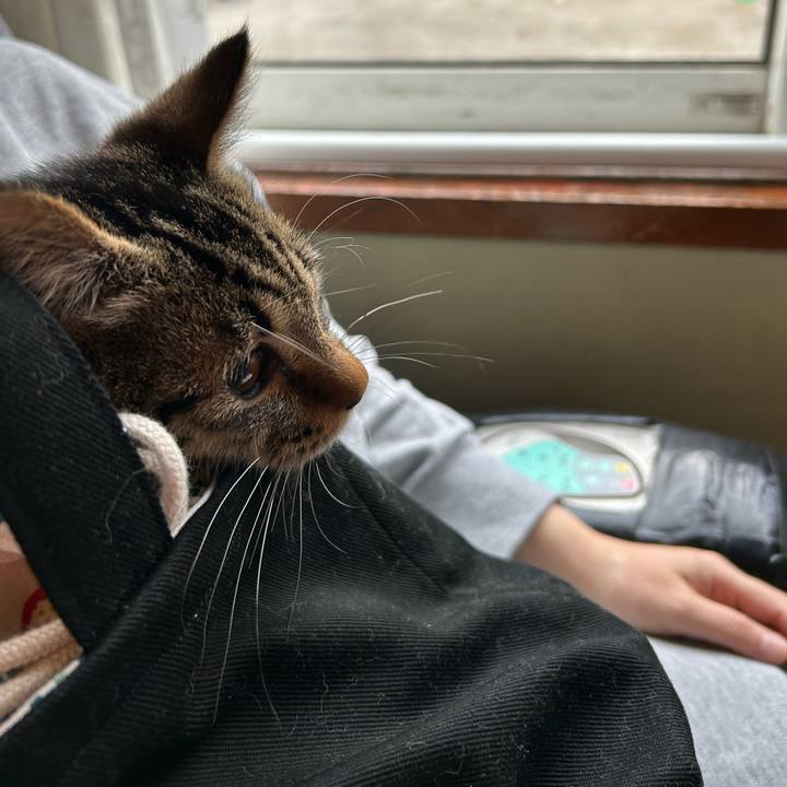 Bf75d74c e0eb 4e51 8a6b f1edde5a523d 1731199368758