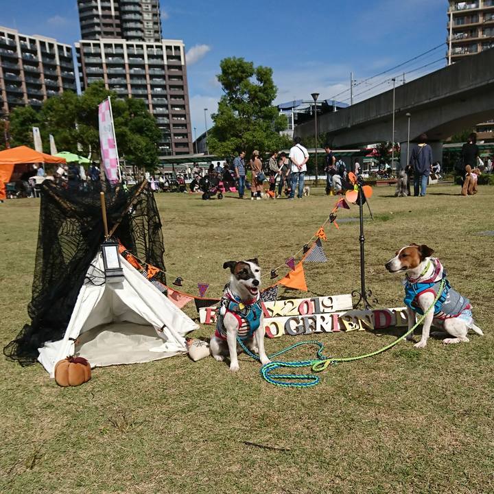 Bf75fede f35c 45e8 bfa1 6539e7c5b800 1572081709840