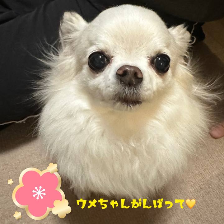 Bf76088b 326e 4061 9c57 4005425eecee 1674134081257