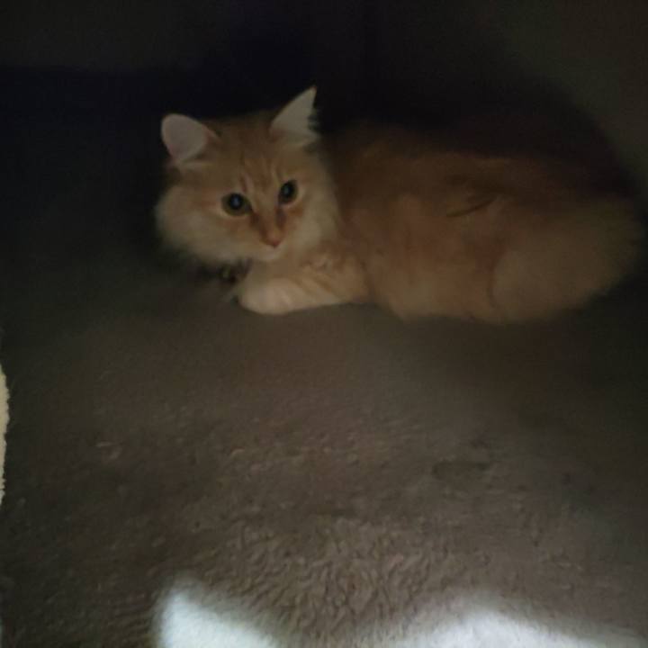 Bf760f0e d376 42b4 ab1f e5f9c7c3342e 1706220149648