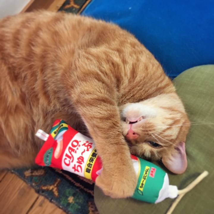 Bf762539 2f8f 4c5e ad35 dc0eb32592de 1552296277343