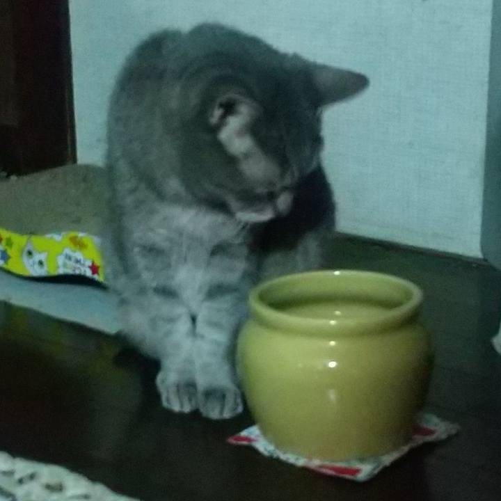 Bf7653ec e914 4854 a805 50a13fd520b1 1679217952481