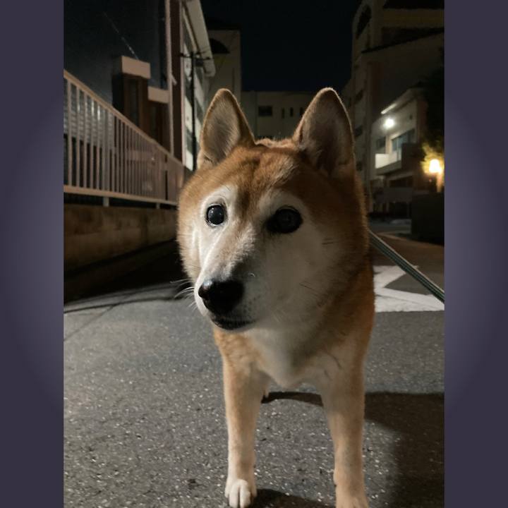 Bf7654c3 c397 42a8 9312 a939c2ebd5c2 1728819309653