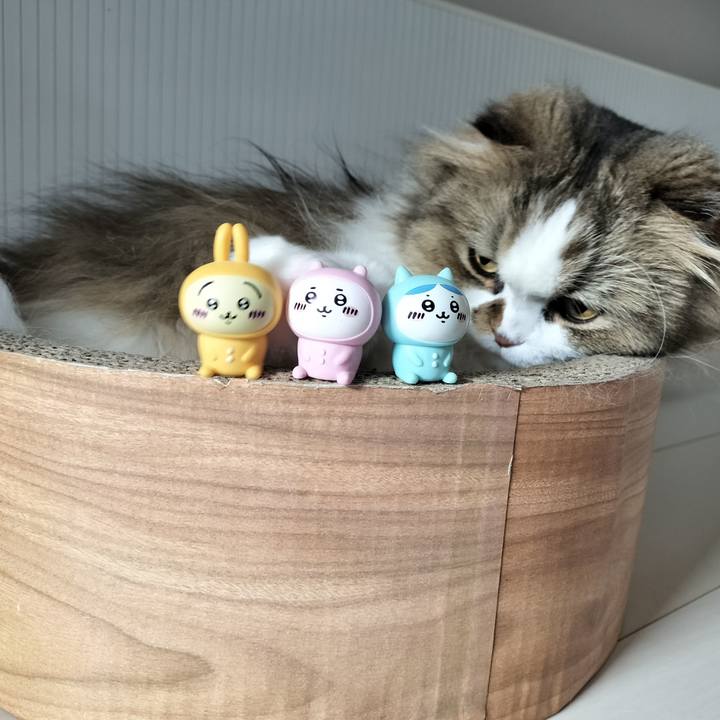 Bf767e7e 67b8 4d64 9236 fba479d5c332 1761454925489