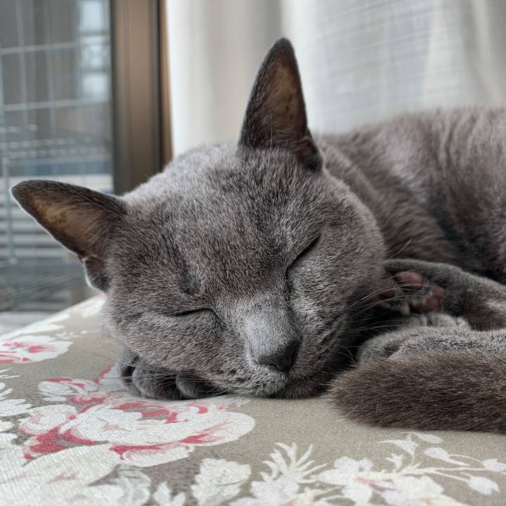 Bf76bcc6 fcd6 40f3 8959 fa693cfdf061 1577841446981