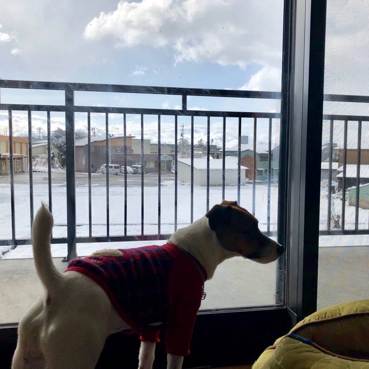 Bf76c659 433a 4b7f 9a9e db7a2013f934 1554764878093