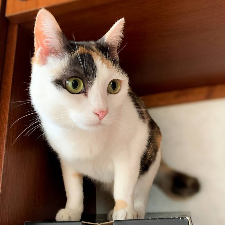 Bf76dfb8 149f 42aa 81a3 251d799b2863 1591148331529