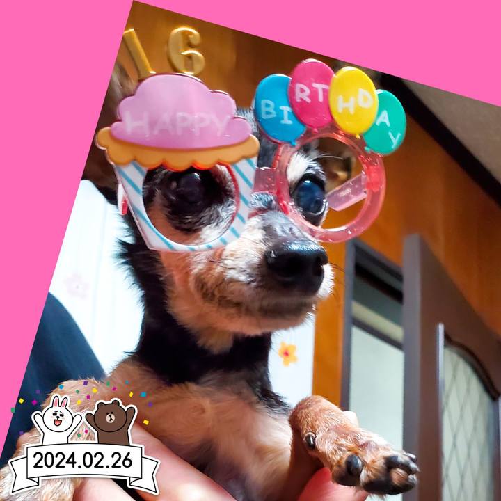 Bf771489 c261 4082 a2ff 2564202be403 1709364859141