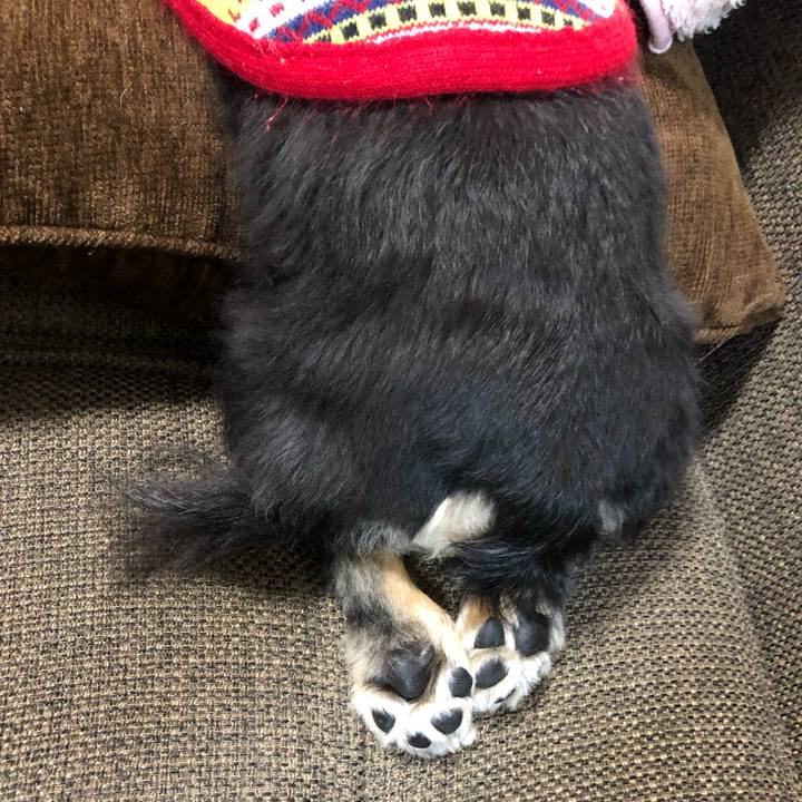 Bf775210 0bce 410b 9150 e9e8e67fe0e8 1576318200209