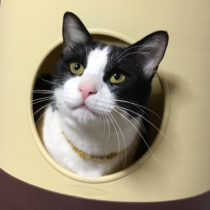 Bf778be8 9205 4f2d 850b b59e2caa3115 1646043401740