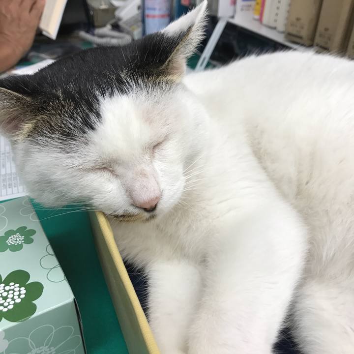 Bf778dd3 c47f 4de0 80a8 4450e2655fdc 1538470926059