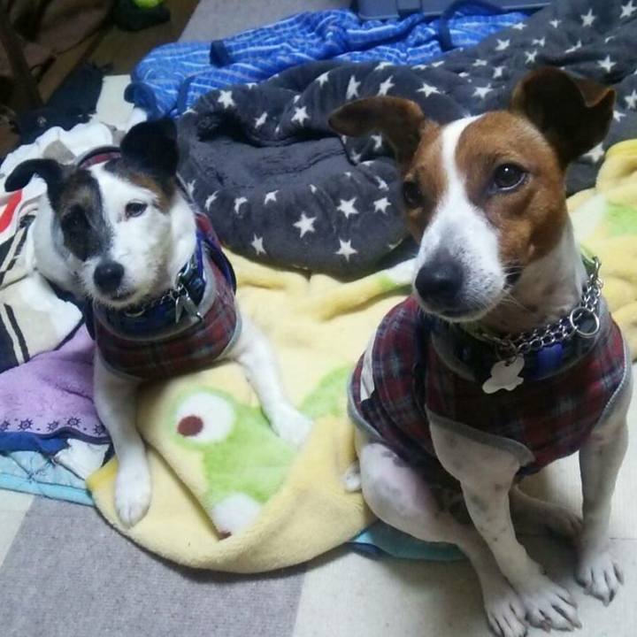 Bf77c4d9 d478 4fff 86d3 3b4a2d54069d 1573679834432