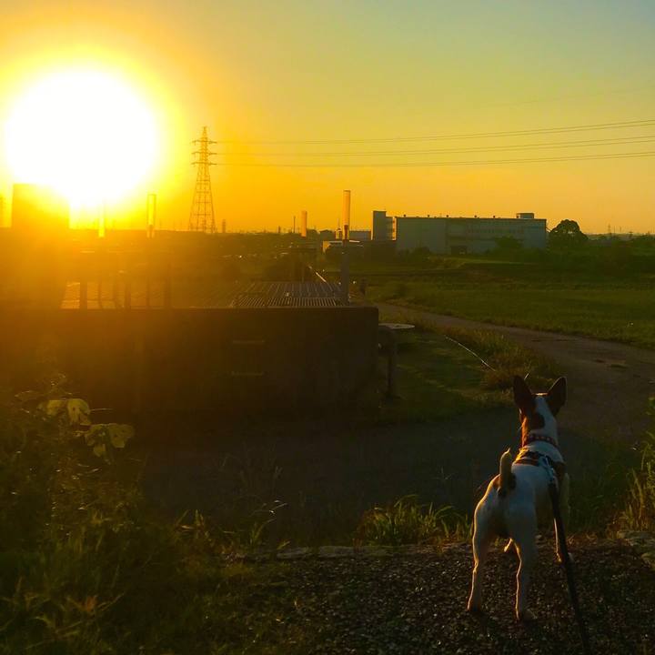 Bf77ee20 4a42 44b1 9548 9aeed26784ef 1537265818227