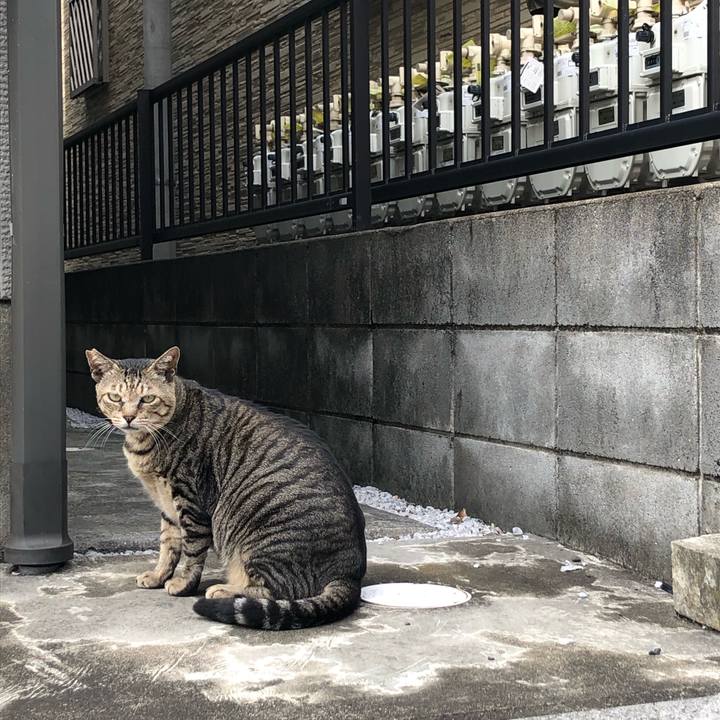 Bf78045c 8f89 47ed 8445 bb1b767e343a 1572727509136