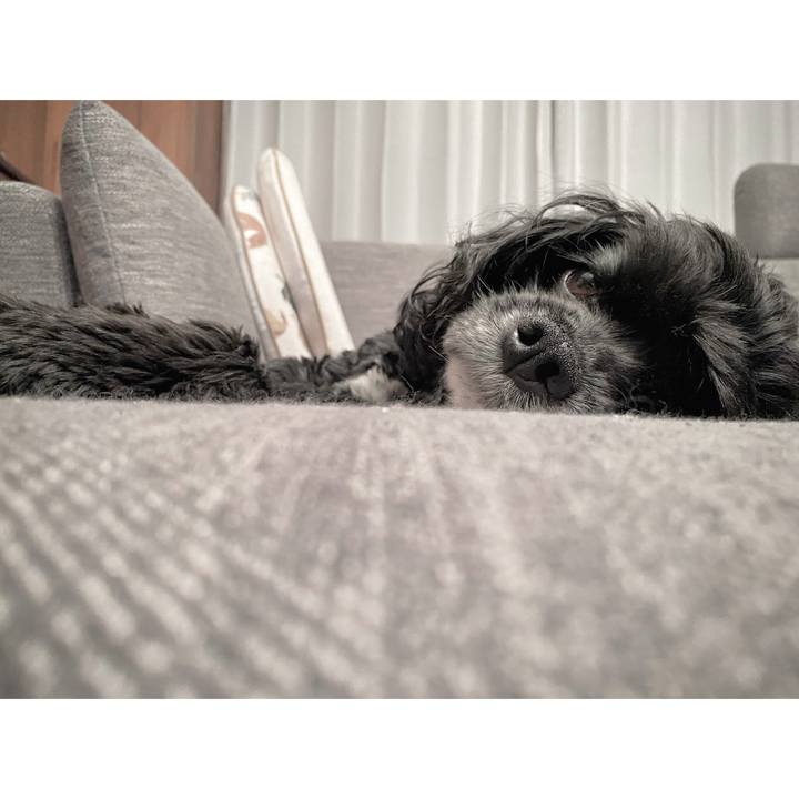 Bf780514 055f 4861 a564 ad2c304978ff 1651675186049