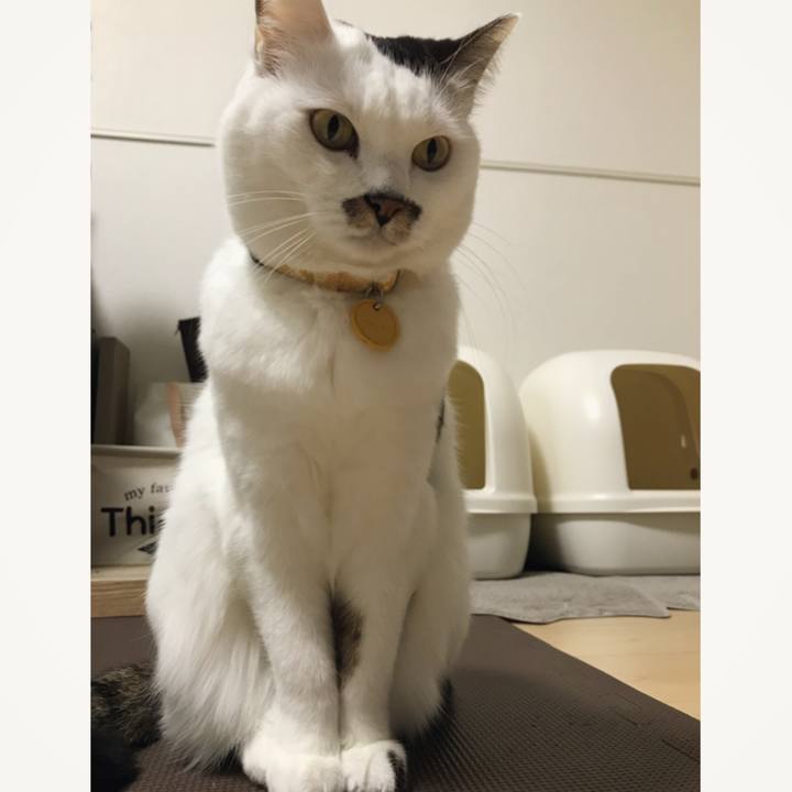 Bf7836ad 674e 495e b516 c851de950834 1548660519318