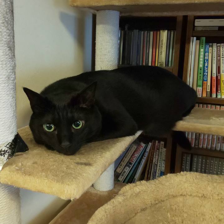 Bf783fac 4162 472a a3e3 db3532beec54 1740524306666