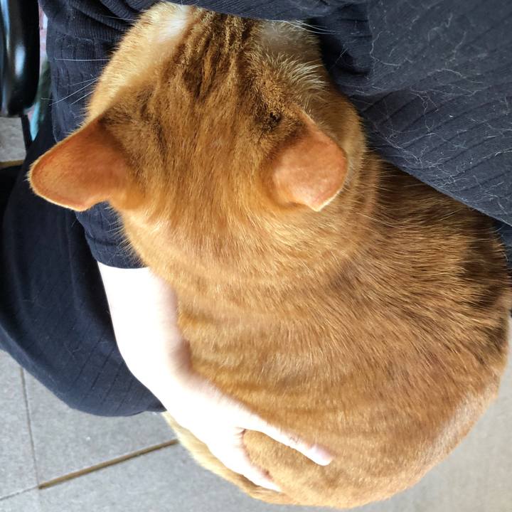 Bf7841fb 9b7f 4821 8fc2 a54b82b5491e 1687079737624