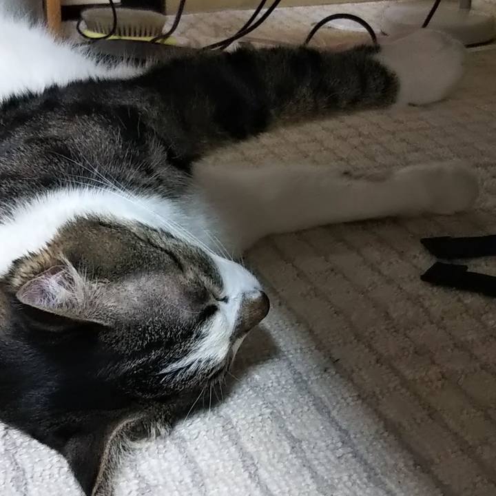 Bf786287 68cf 4c65 b1af ee57f26beca3 1610119301132