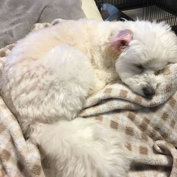 Bf7863a4 7221 466a b223 3a969518212e 1587530432714