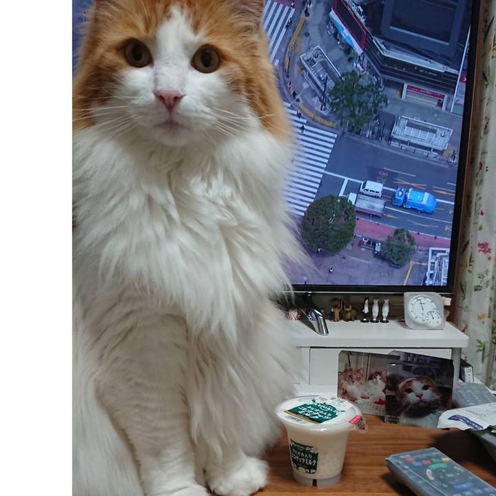 Bf7895a5 756e 4d1c 8d87 d7b2e7f52306 1589026107484