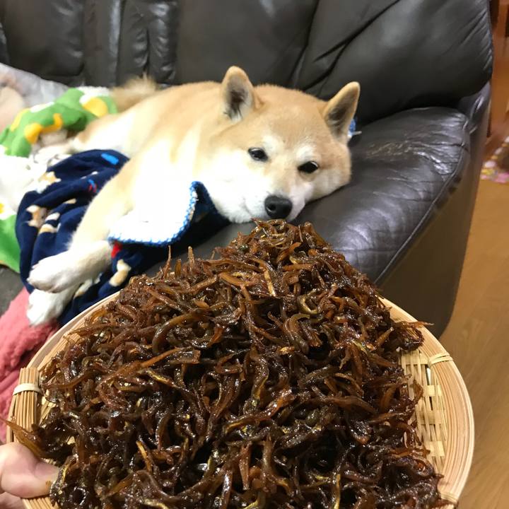 Bf789ac2 2737 458b a49a 2c2da0aa4b0d 1520599980946