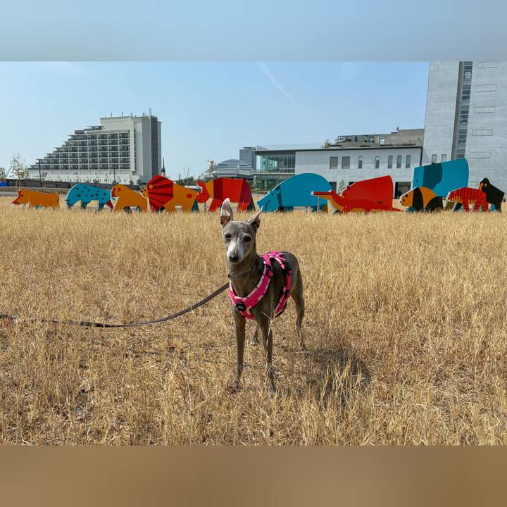 Bf78b58c 7f91 4054 b1fa f3b73a8f827f 1776080671207