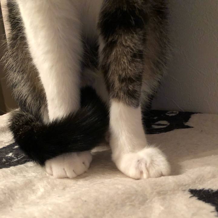 Bf78c39e 1e1c 4d0a 8c43 f37c25bb83a7 1516586029663