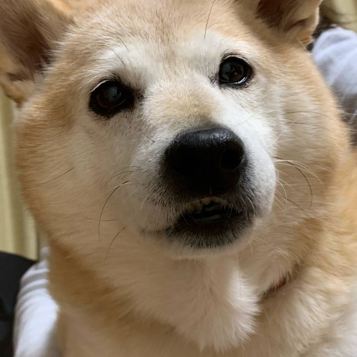 Bf78da35 04bd 479c b8c2 f4f0e2b63f2f 1611910190863