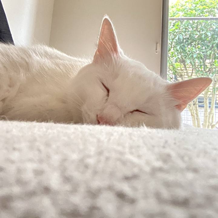 Bf78dc6a 724f 4337 a31c b215b8988748 1660713638574