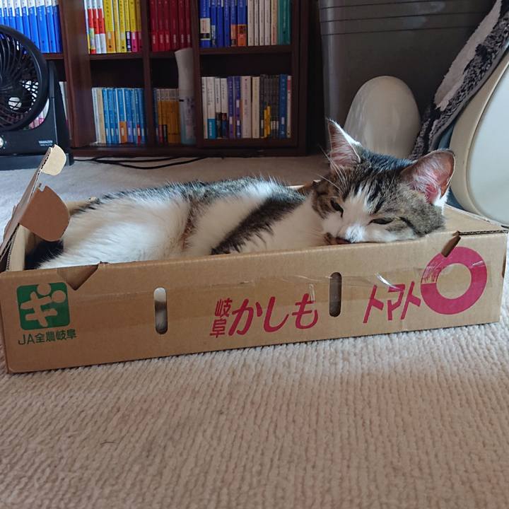 Bf78e279 521b 4c3a aaa2 2e59614ff878 1627090346419