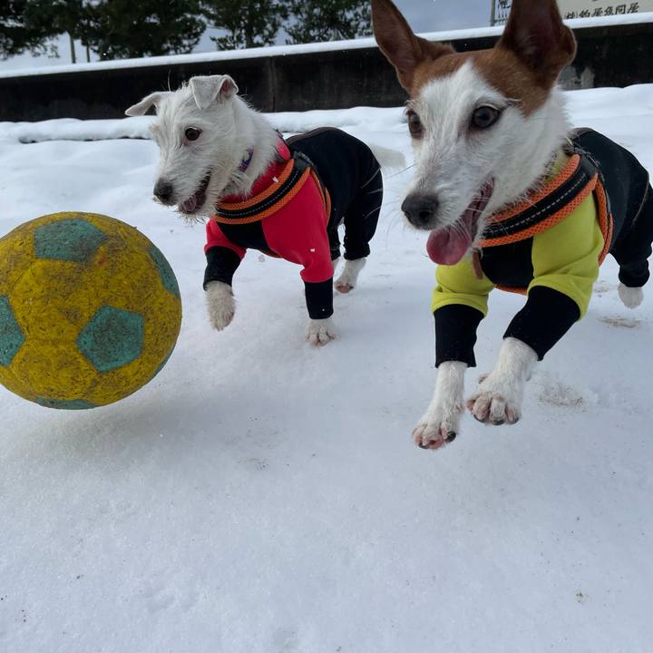 Bf78f252 0afc 4718 b544 6feeb49016aa 1770165444060