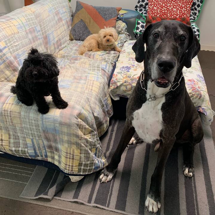 Bf78f559 a127 4f6f b058 296243c47c41 1560723881482