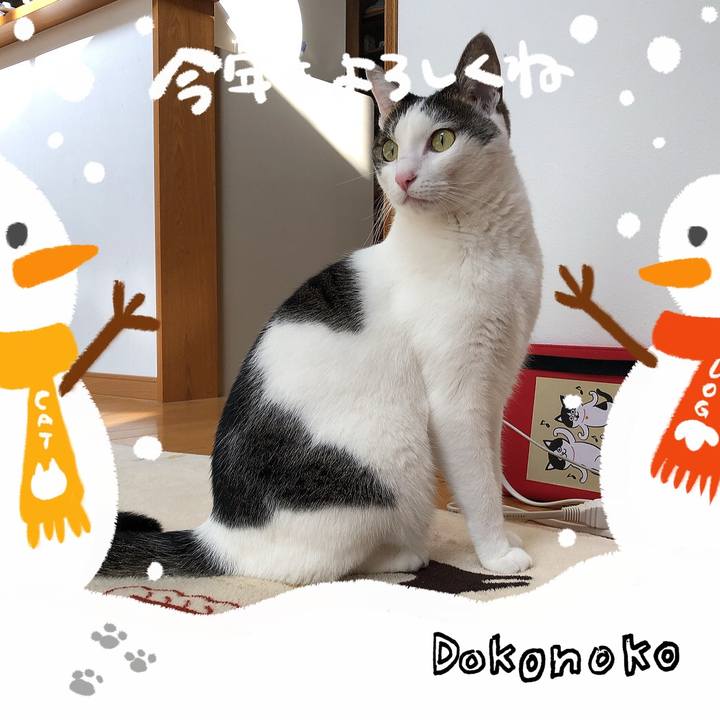 Bf7931e5 c76d 435e 8b19 82a9f46de804 1704201995831