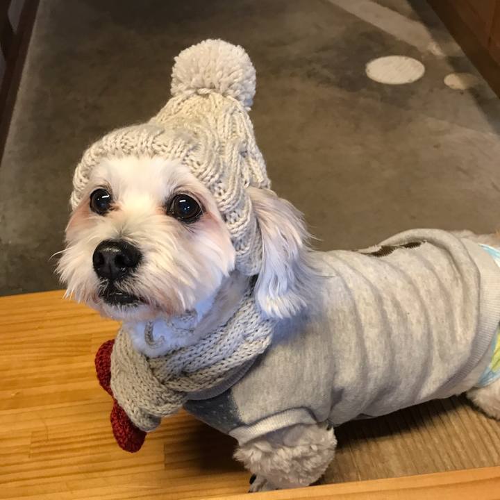 Bf793dab 674b 40f7 af63 bd606bb8b77c 1549558268920