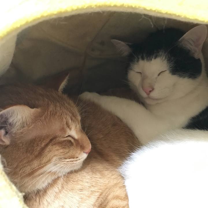 Bf7966aa a8fa 4347 a4f2 52931e466a51 1544498363187