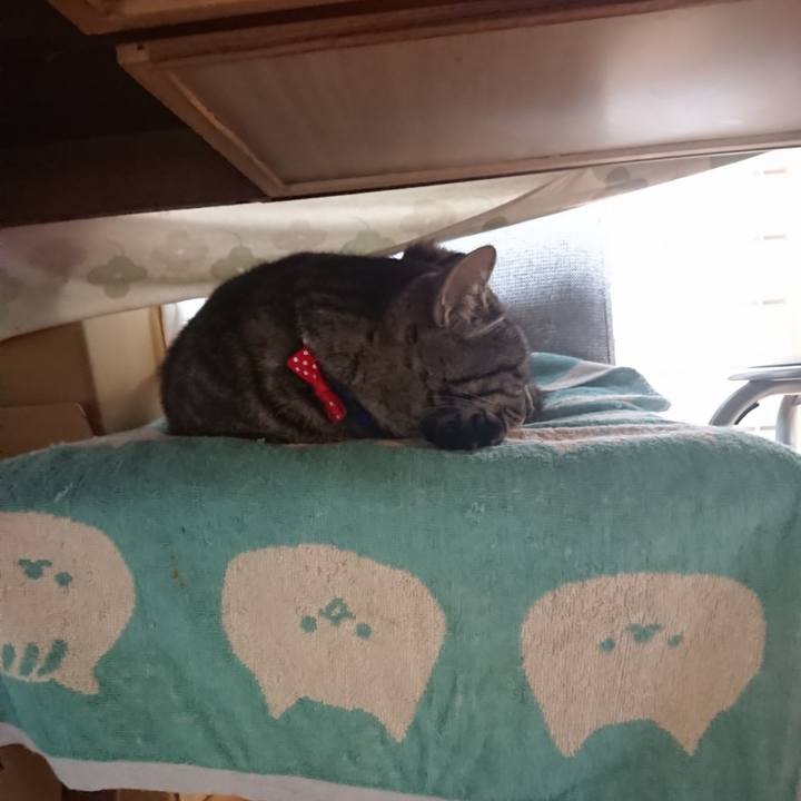 Bf796f95 9573 45b1 9027 61be47e35fb0 1654808432590