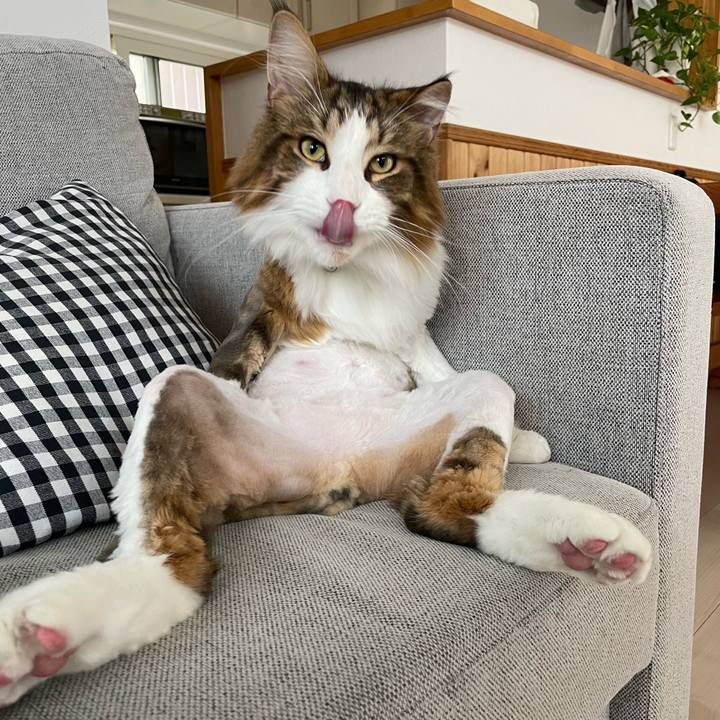 Bf79d658 95ec 4412 9fc4 8aec16f2bfdc 1658698235188