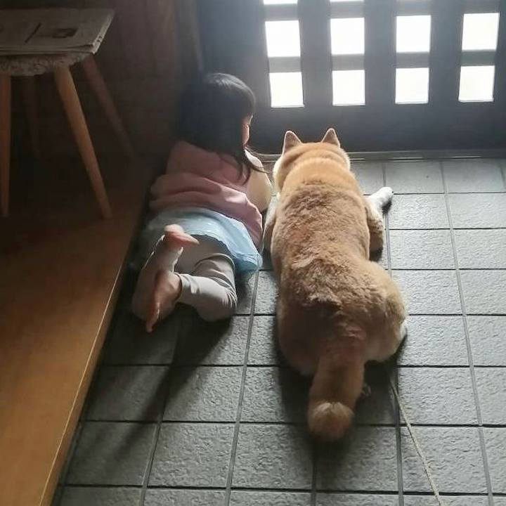 Bf7a255a b274 43c8 8b76 141d7584fa99 1681604679796