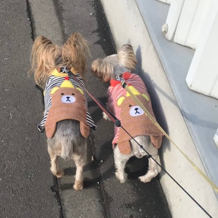 Bf7a322b 1113 4866 9702 5a7d75b3d790 1559345392428